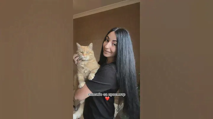 Спасибо за подписку 😉 #cat #рыжийкот #кот #питомцы #котики #котик